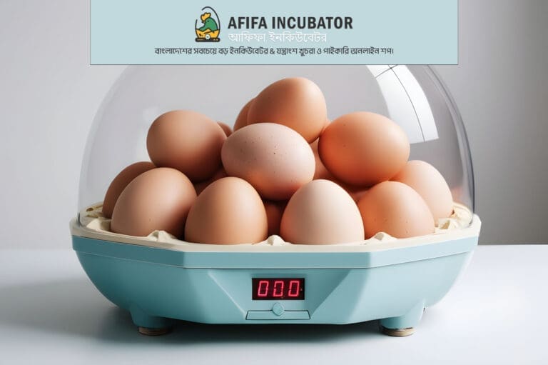 ডিম ফোটাতে বাংলাদেশে আফিফা ইনকিউবেটরের অবদান