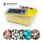 China 56 Egg Automatic Incubator - Image 2
