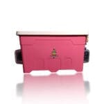 AC-DC 70 Eggs Automatic Incubator With Auto Temperature – Humidifier – Turner - Image 2