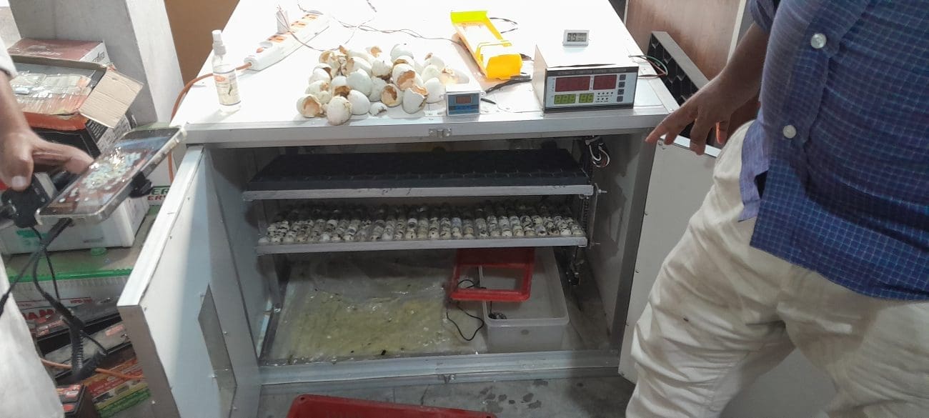 শীতে ইনকিউবেটরের সমস্যা